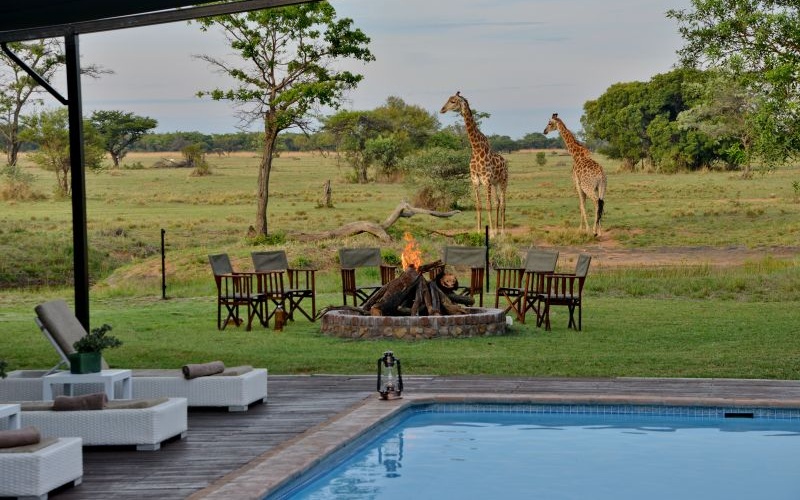 Safari Plains - 14